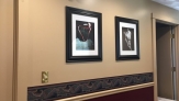 Hallway before renovation: Beige or tan walls with artwork on wall with bump guard and panel plate on wall.