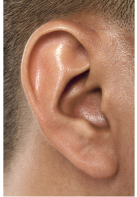Man's ear